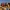 photo gallery 05