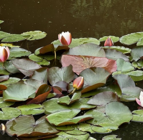 20241126 114512 020243